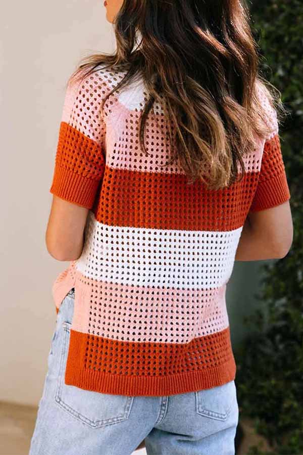 Brown Crochet Knit Colorblock Stripe Short Sleeve Top